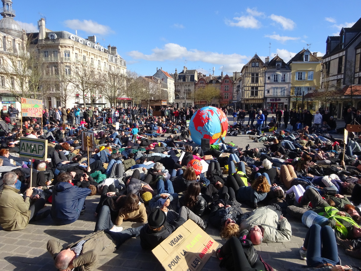 Marche pour le Climat : Un millier de personnes à Troyes (L'Est-Eclair du 17 mars 2019)
